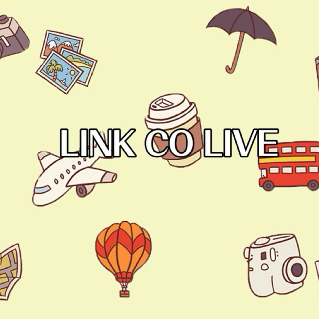 

LINK CO