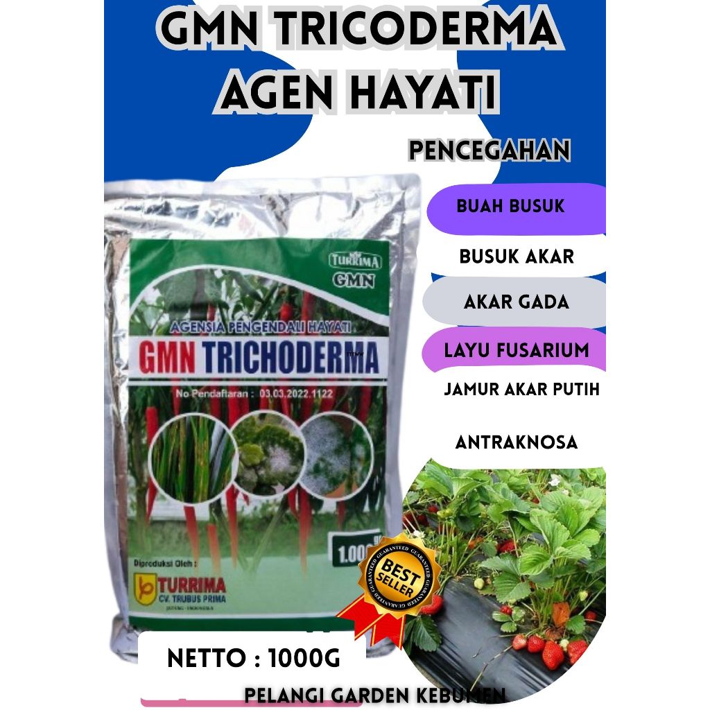 SOLUSI AJAIB  Trichoderma Anfush, Trichoderma Asperellum, Trichoderma Alami Isi 1kg