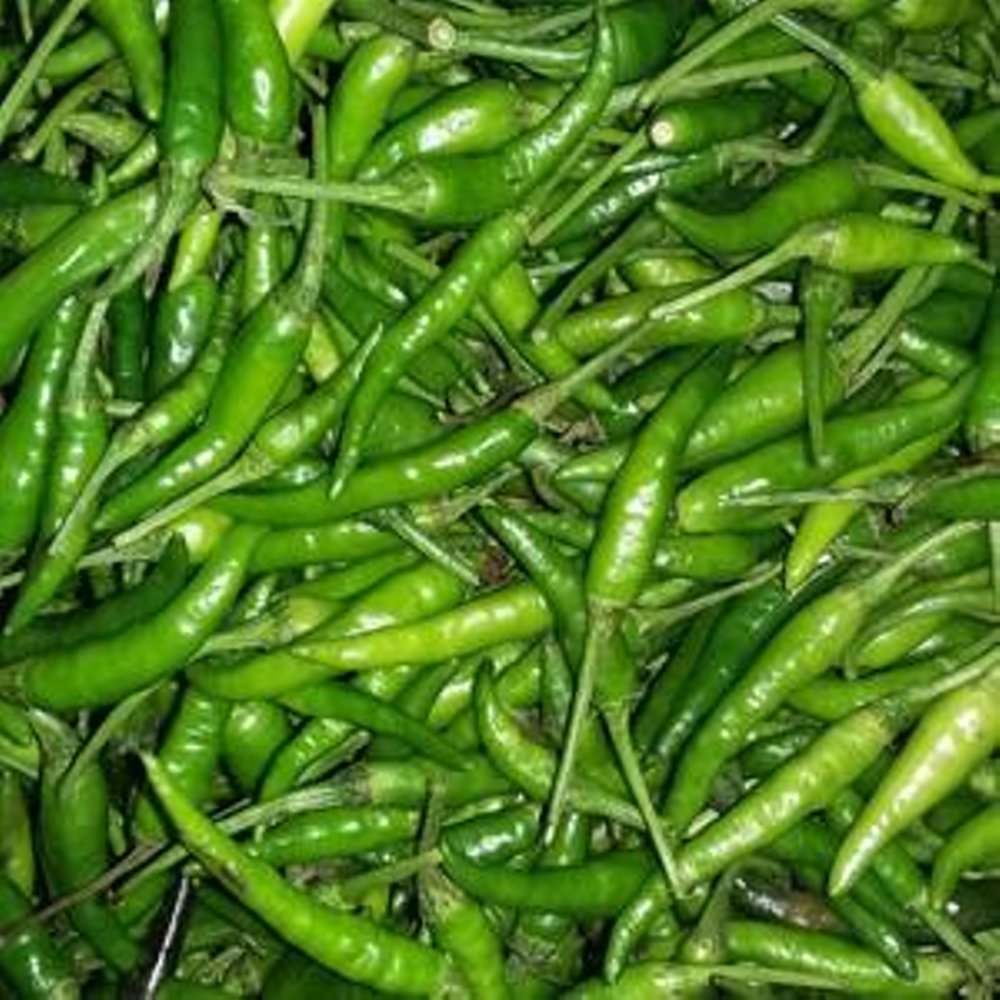 

Cabe Rawit Hijau Segar 500 Gram – Pedas Alami dan Siap Masak