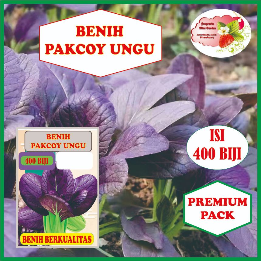 BENIH PAKCOY UNGU ISI 400 BIJI