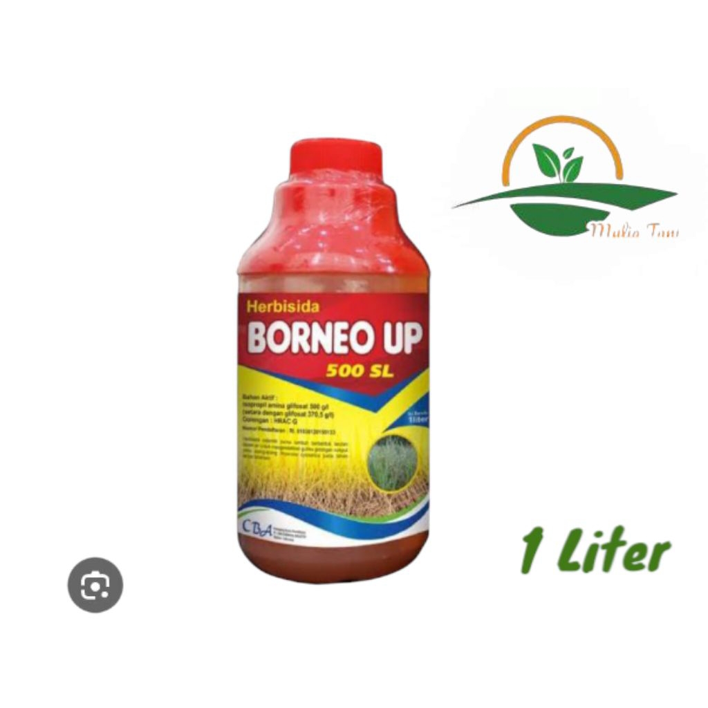 Herbisida Sistemik Borneo Up 500sl Kemasan 1 Liter