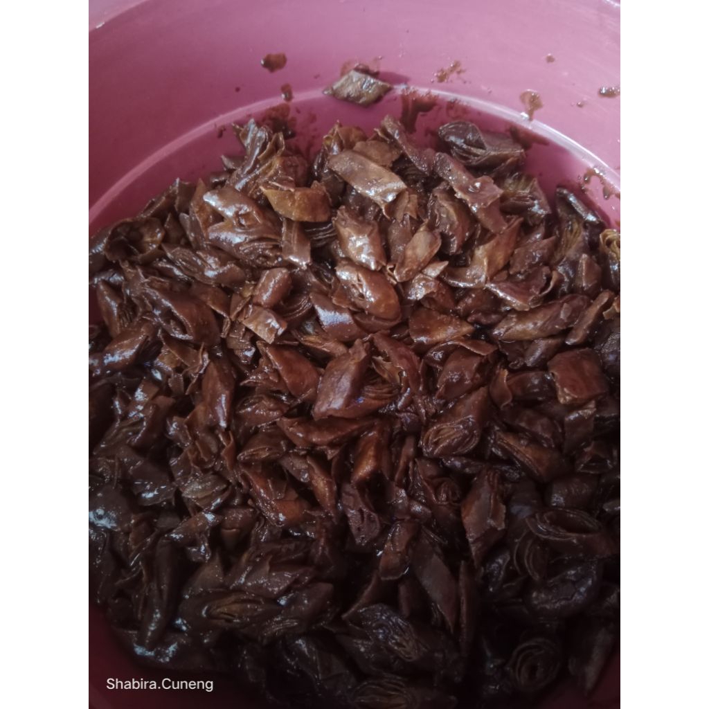 

Lumpia Garing