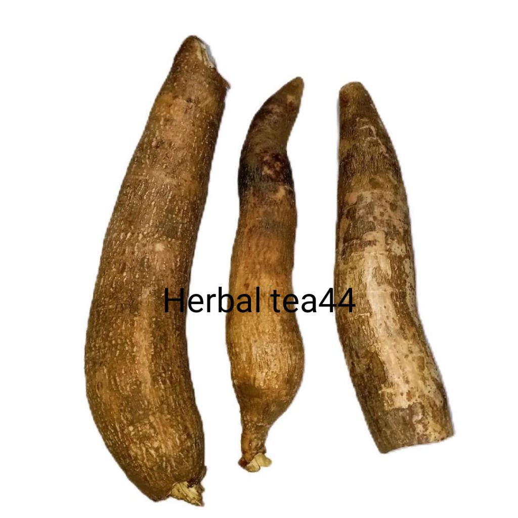 

Singkong Racun sapikuru asli segar 500 gram