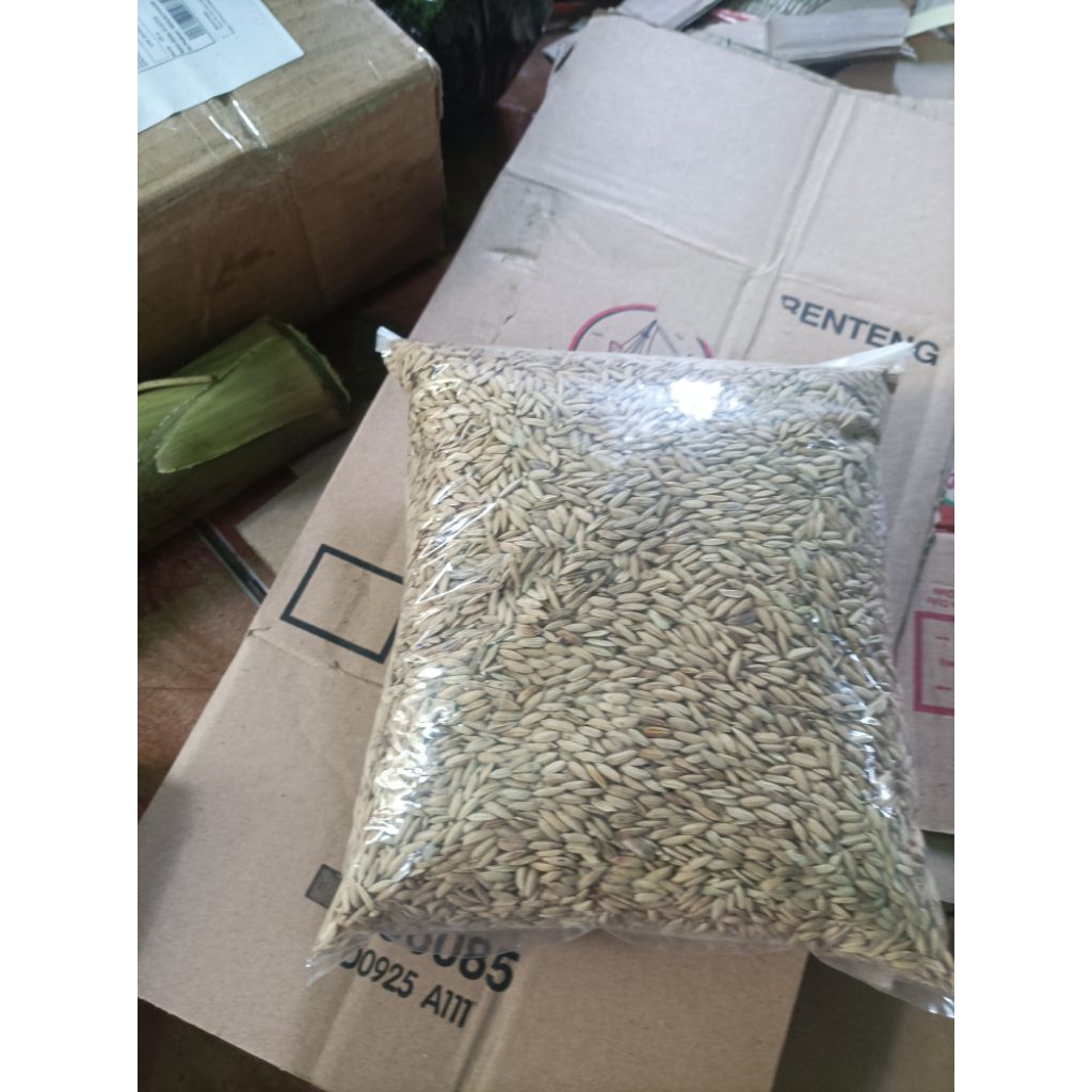 Gabah padi ketan hitam gabah per 1000 grm