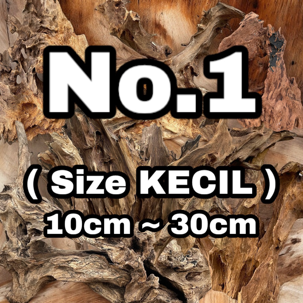 Kayu Rentek Size KECIL / Hiasan Aquarium Ikan dan Reptil / Dekorasi Tanaman Hias / Background Dioram