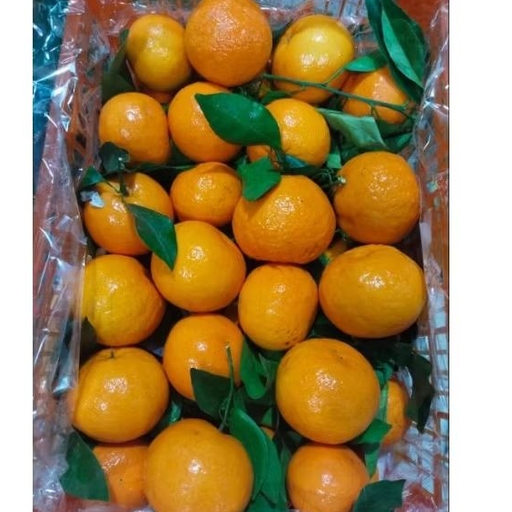 

JERUK WOGAN 500GR