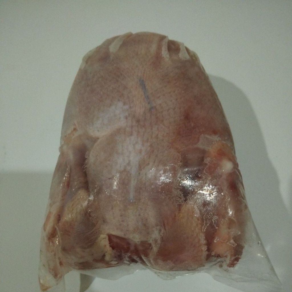 

Ayam Broiler Karkas 1-1.1kg