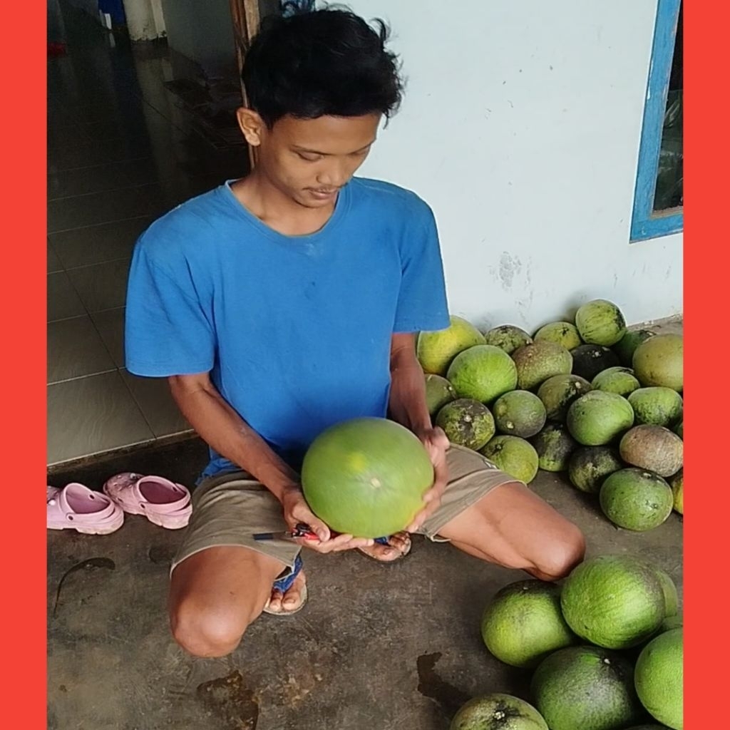 

JERUK PAMELO MANIS 1kg