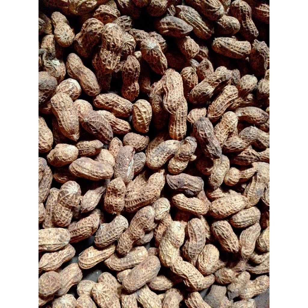 

kacang goreng sangrai