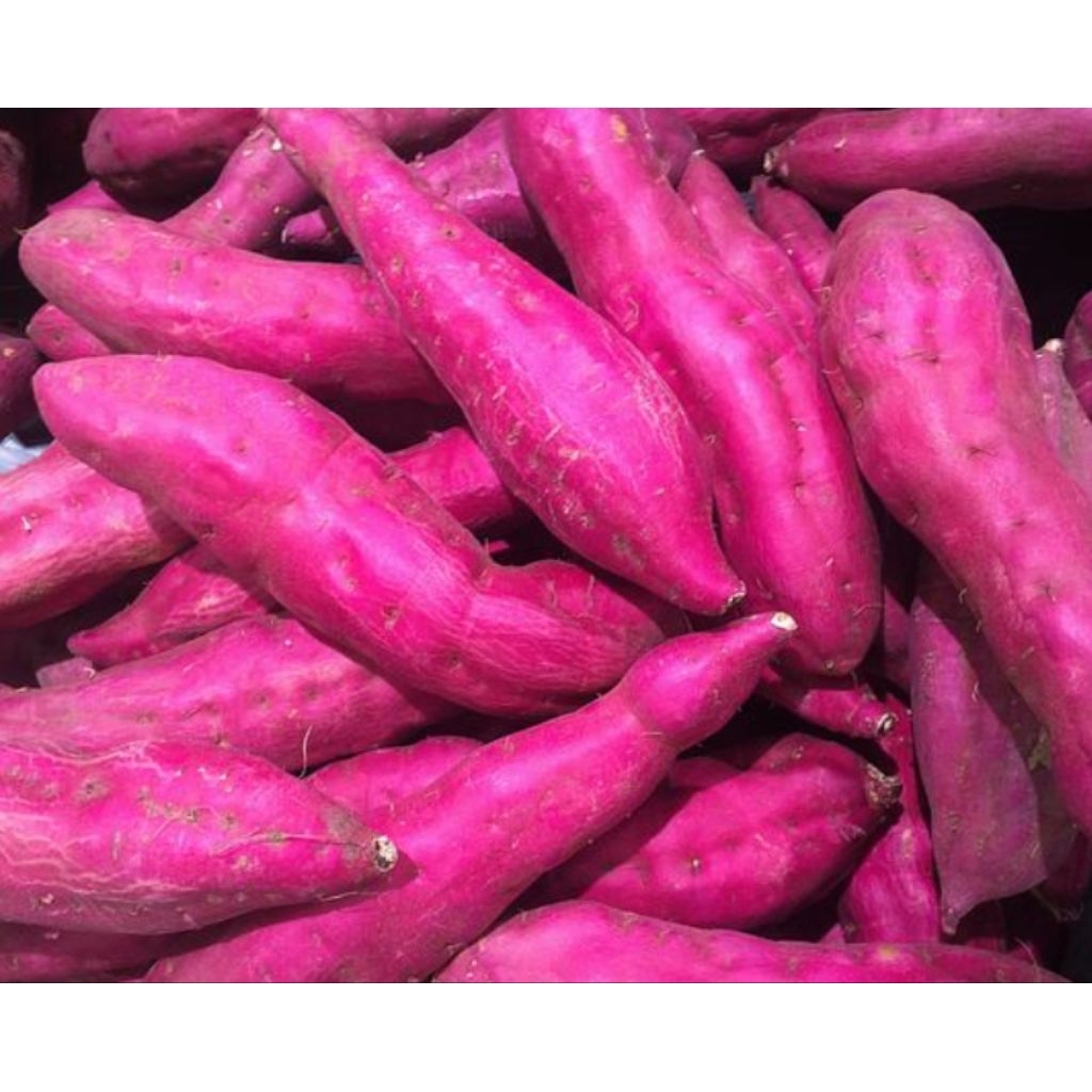 

Ubi Jepang (Satsumaimo) Diet/Rendah Gula
