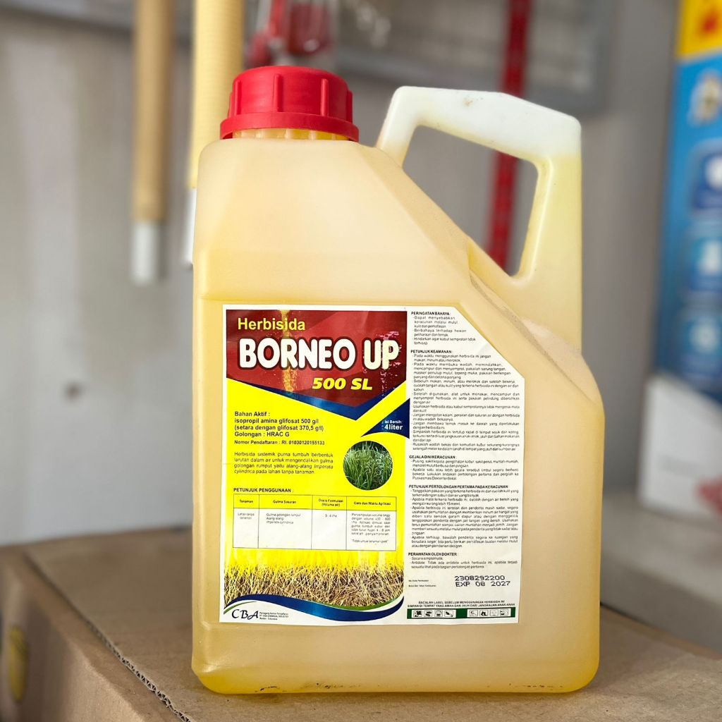 Borneo Up 500 SL 4 Liter - Herbisida sistematik Glifosat Pembasmi Rumput