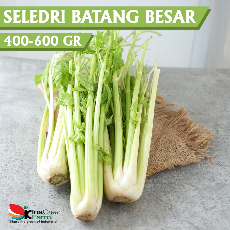 

Inagreen Farm Bandung Seledri Batang Besar / Celery Stick
