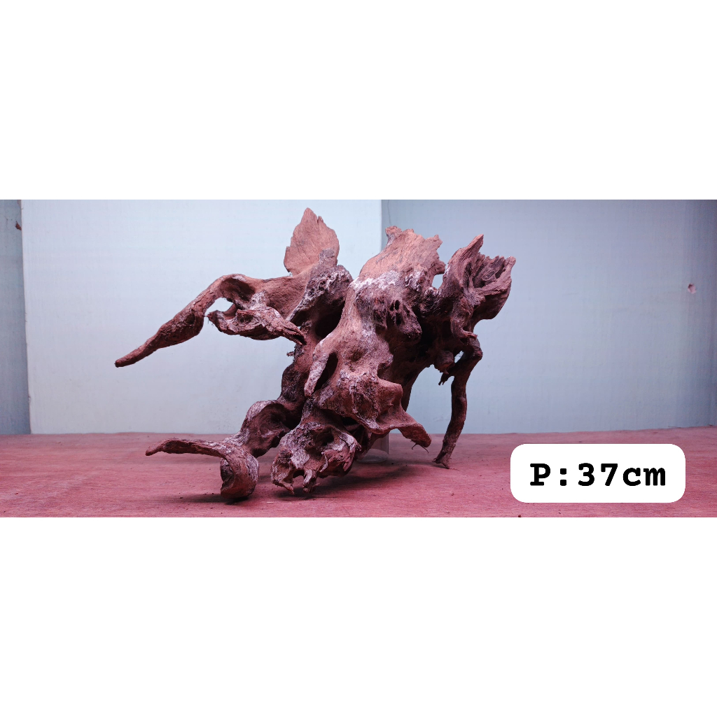 Glaciaamart Kayu Santigi Laut Sudah Tenggelam Aquascape Berkarakter Hardscape