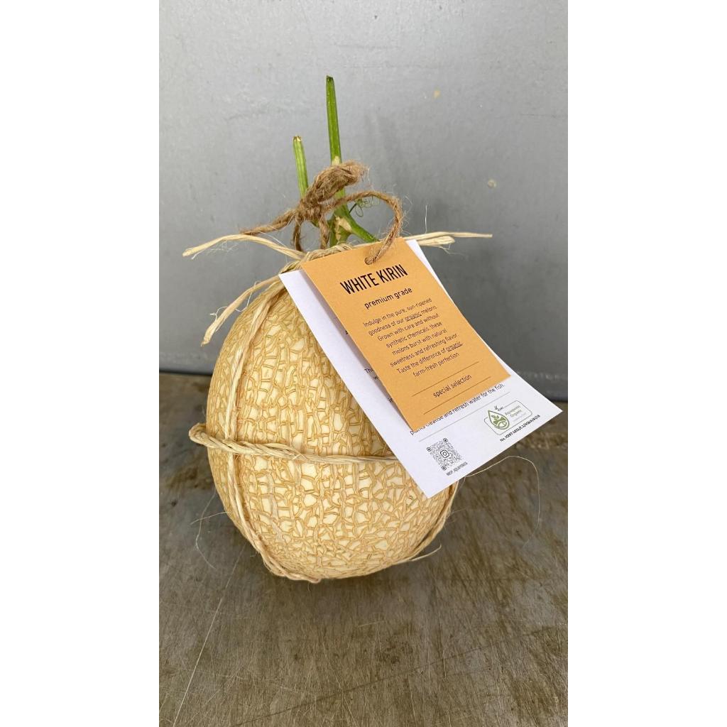 

Melon white Kirin Organik BSP FARM