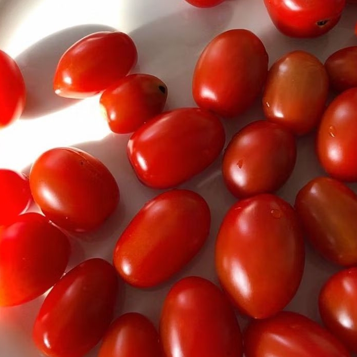 

Tomat Cherry Merah 250 Gram