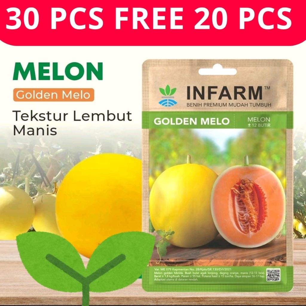 

BIBIT MELON GOLDEN MELO 50 PCS BUAH MELON LEMBUT MANIS BENIH TANAMAN BUAH BUAHAN