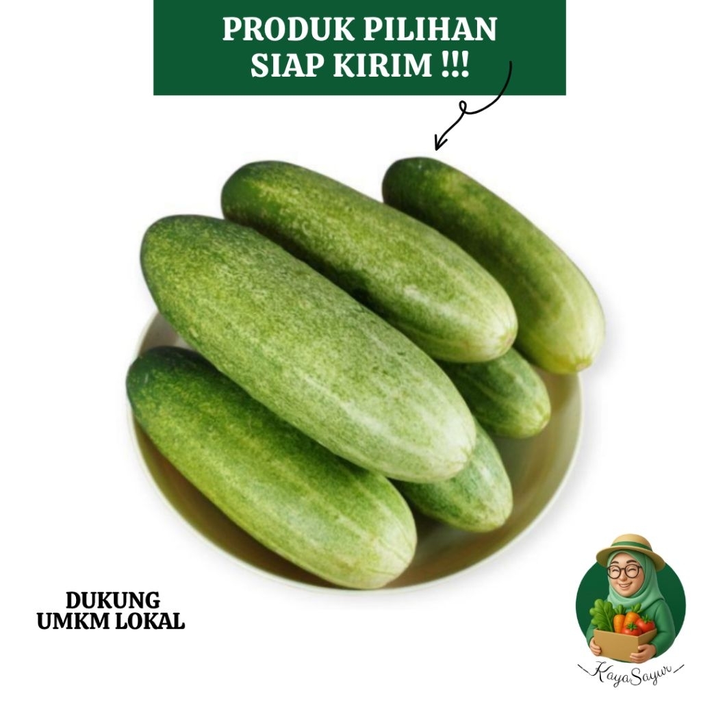 

Bonteng Timun Fresh 1/2 kg