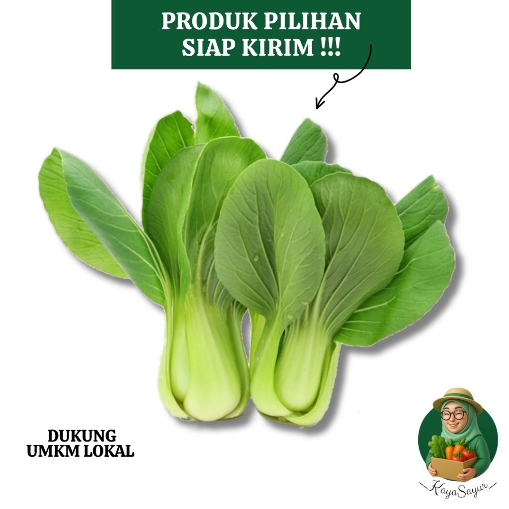 

Pakcoy Fresh