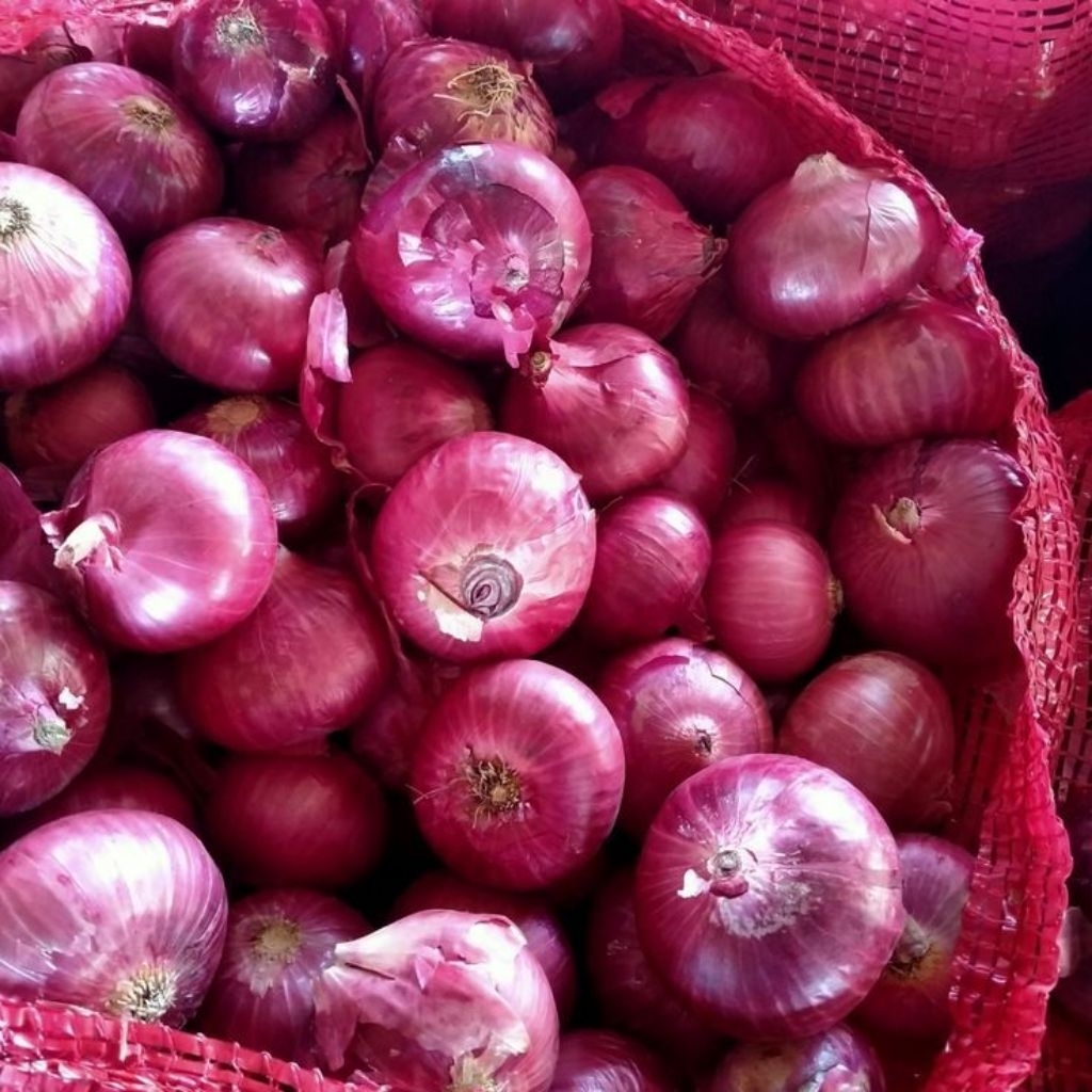 

Bawang Merah Asli Lokal 1Kg - Harga Hemat Rasa Mantap Langsung Kirim