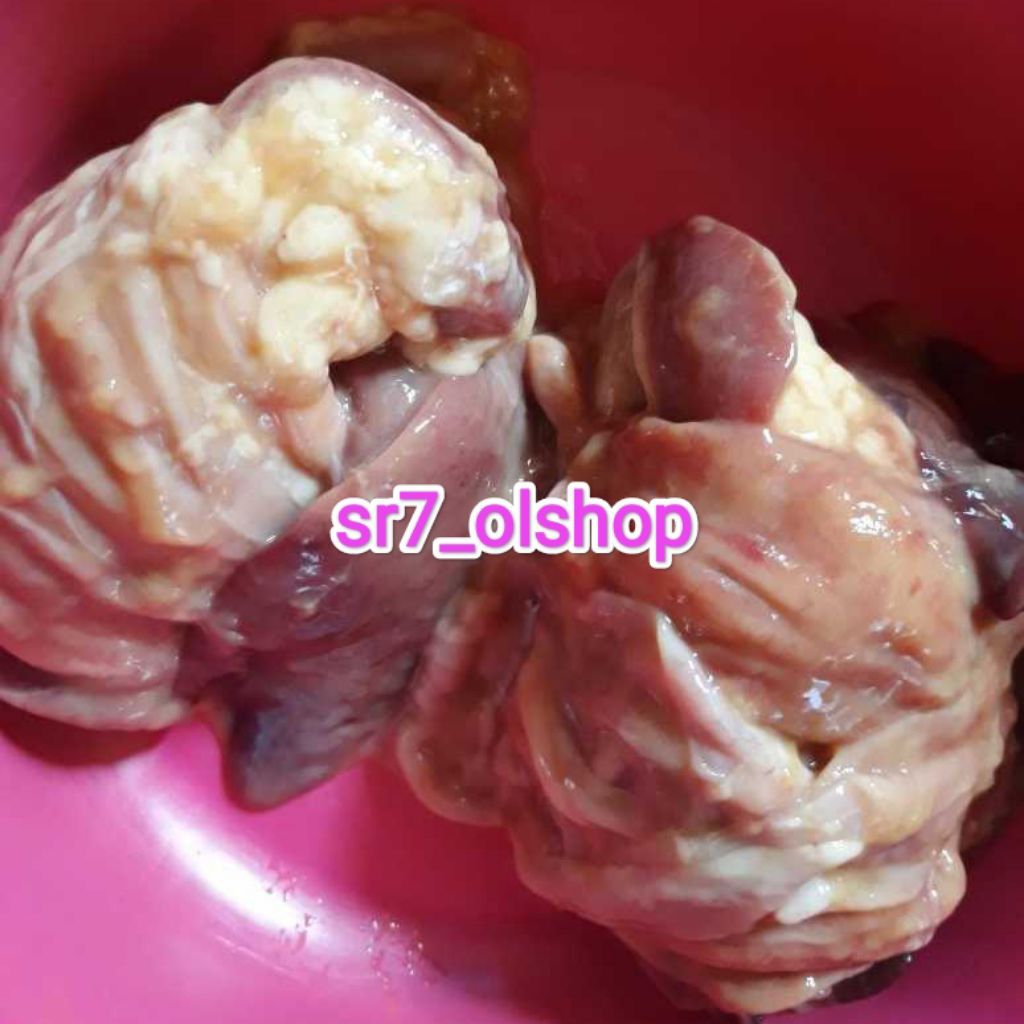 

Empela Lilit Utuh/ Rempeloh Lilit Utuh Mentah