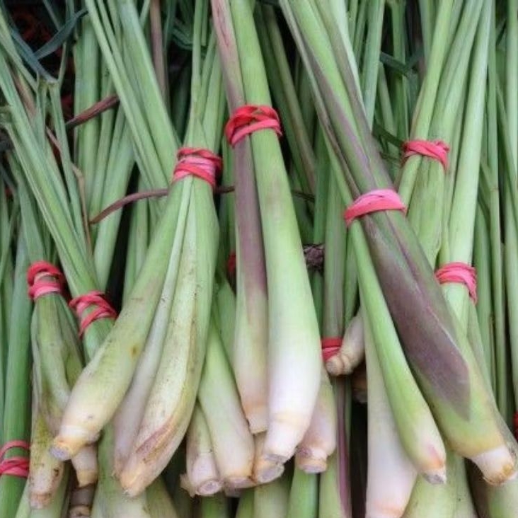 

Daun Sereh / Lemongrass 100gr