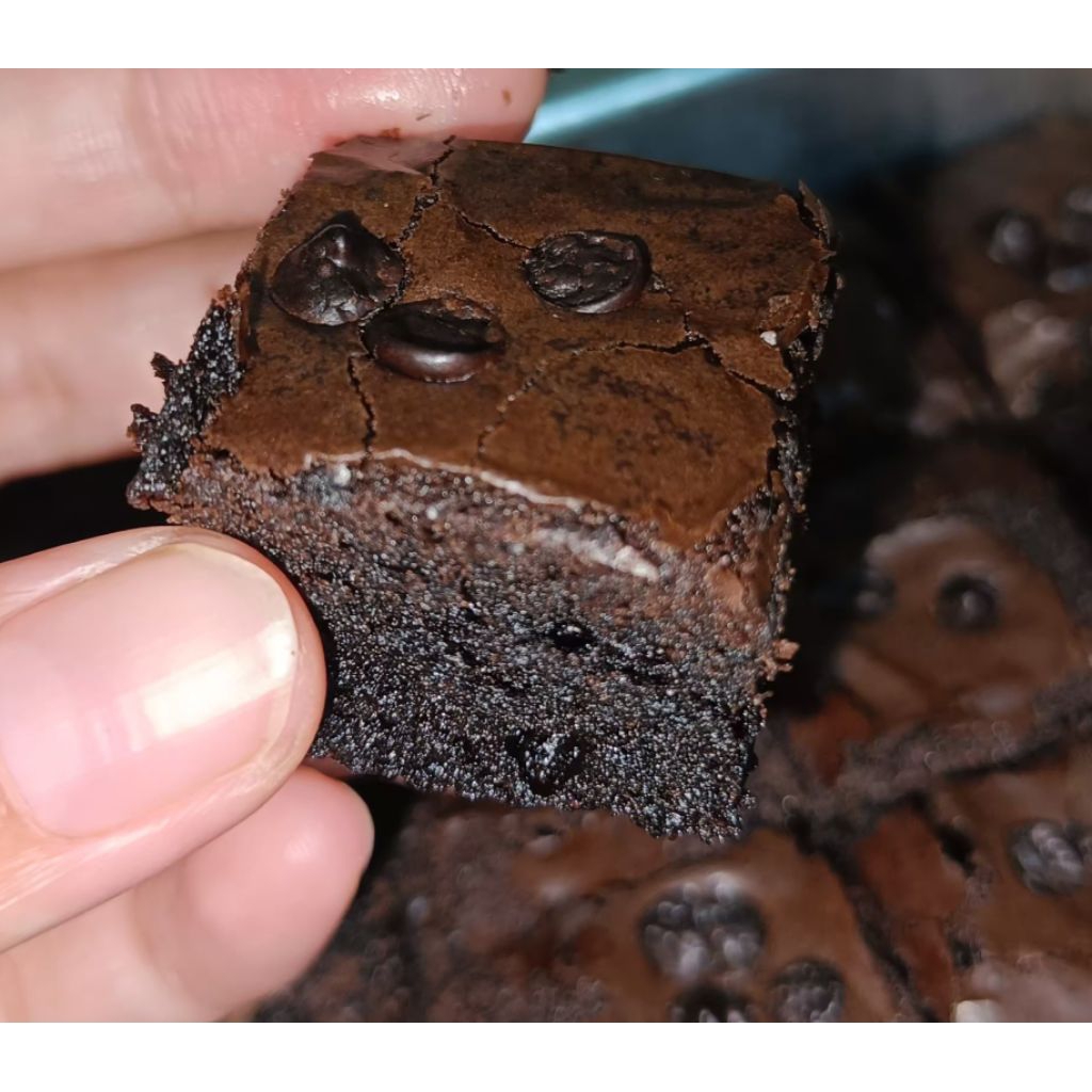 

FUDGIE BROWNIES TERENAK ukuran 20*10