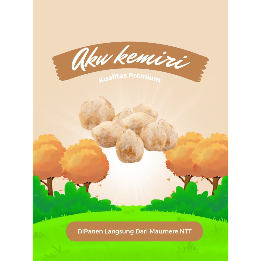 

Kemiri pecah kualitas premium