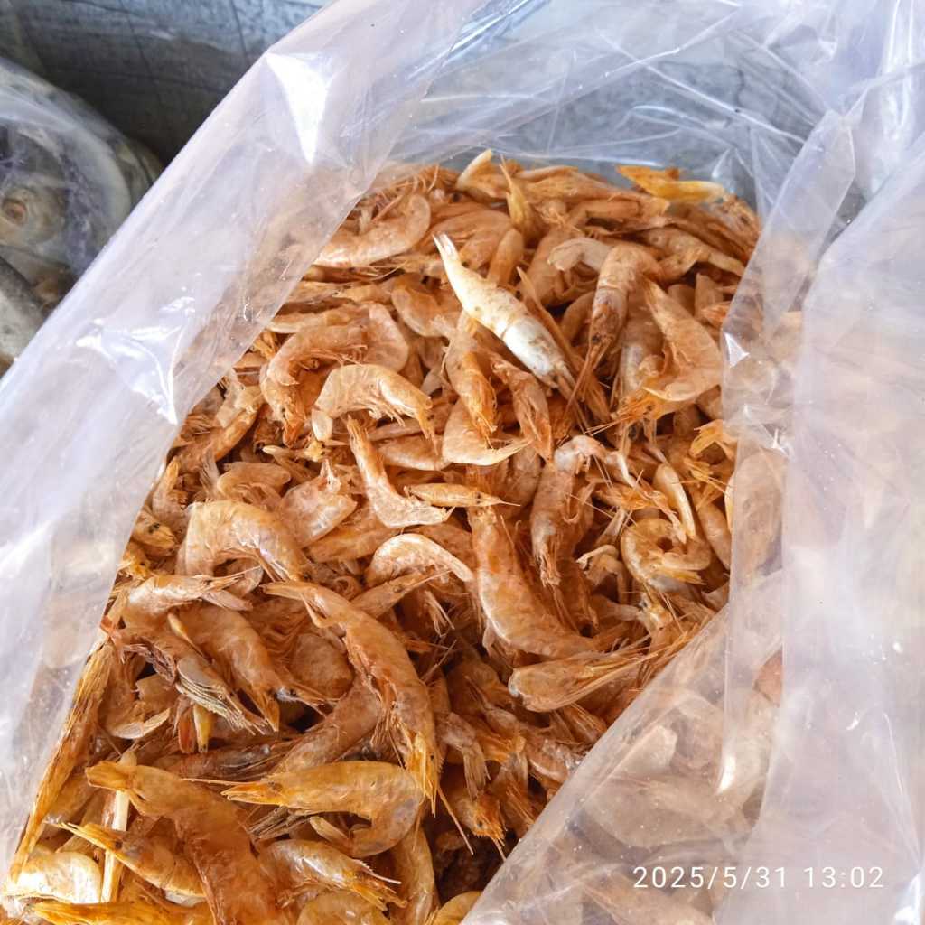 

Udang kering tawar/ tidak asin 500 gr