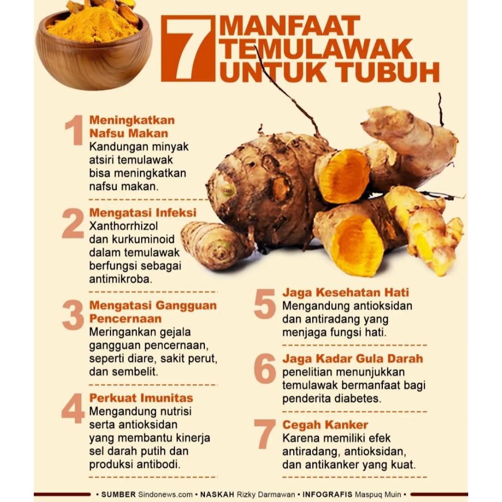 

temulawak segar langsung ambil dari kebun sendiri berat 1kg