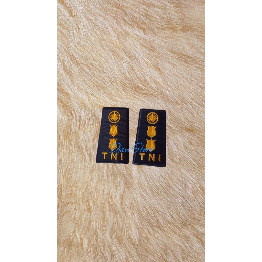 PANGKAT PDH TNI AU LETKOL