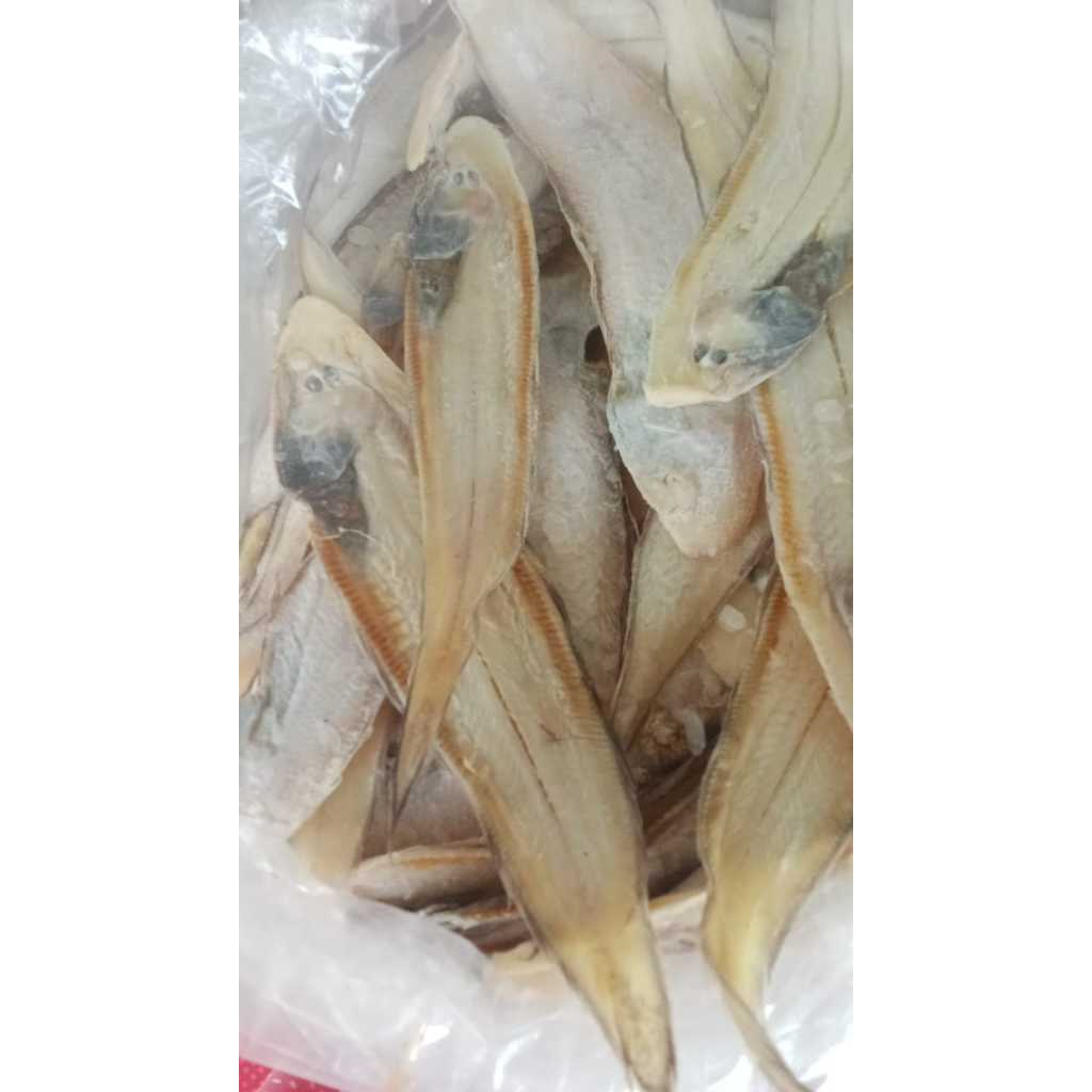 

ikan asin lendra kering 1 kg