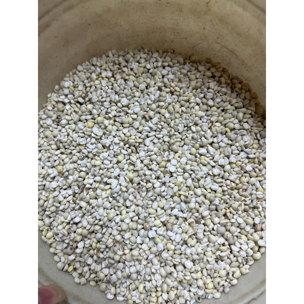 

Jali-jali - Jiu Mi Aceh 250gr