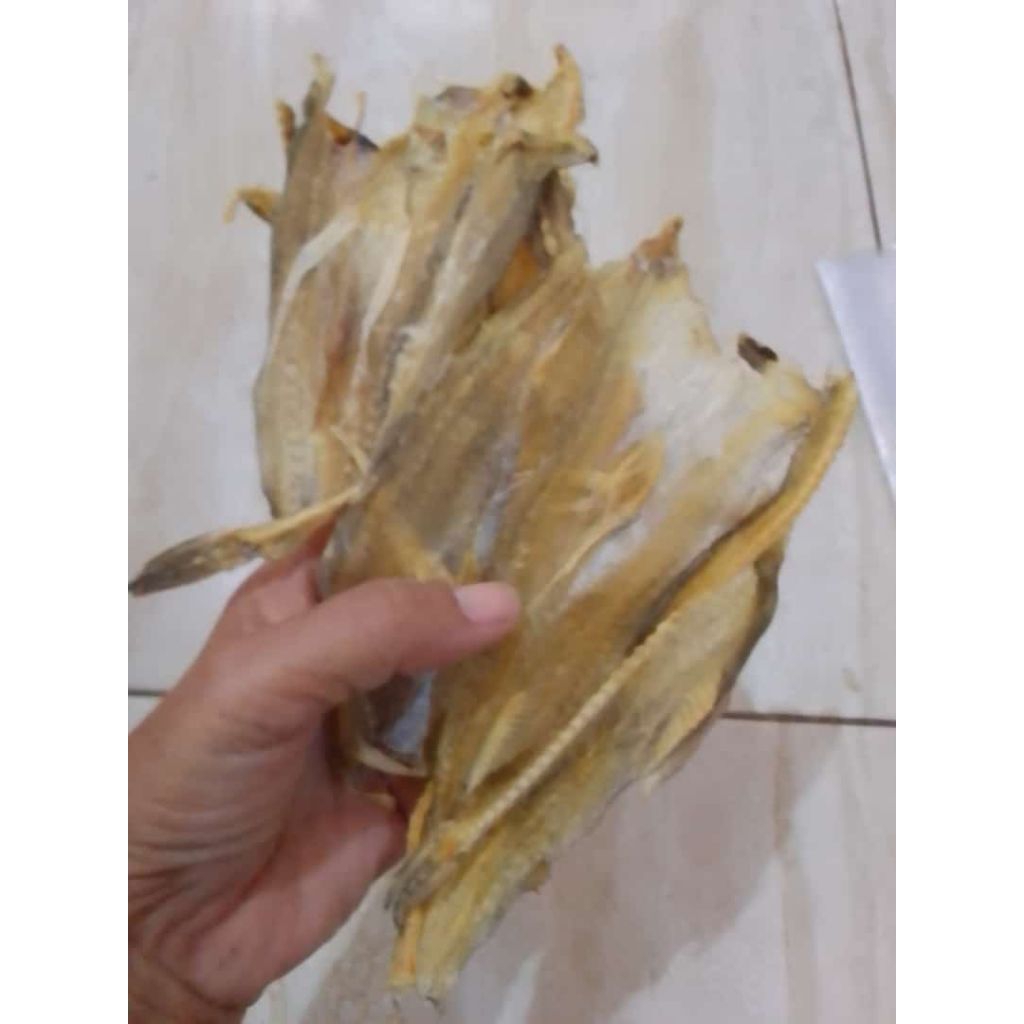 

ikan kerupuk khas Kalimantan