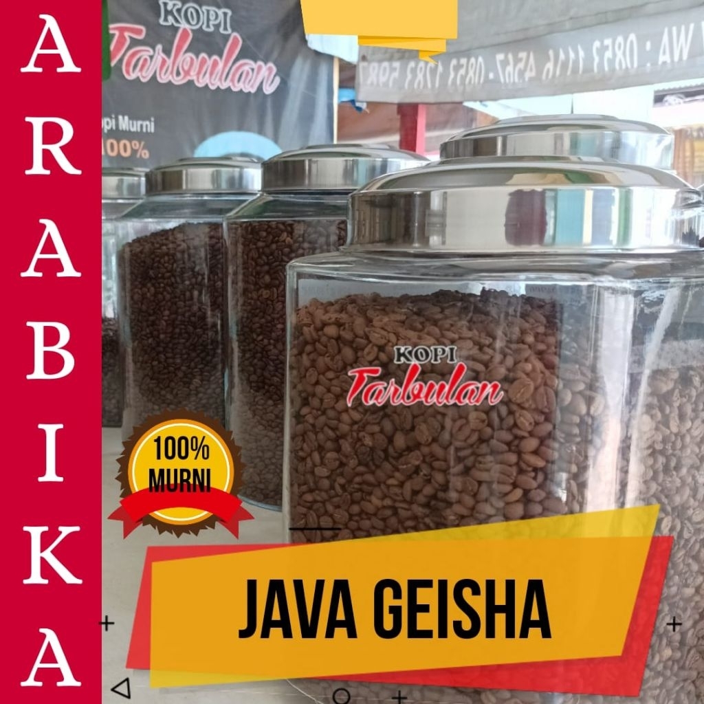 

Kopi Arabika Java Geisha Kopi Tarbulan