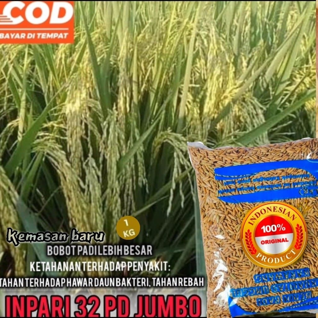 benih padi Inpari 32 jumbo(1kg)
