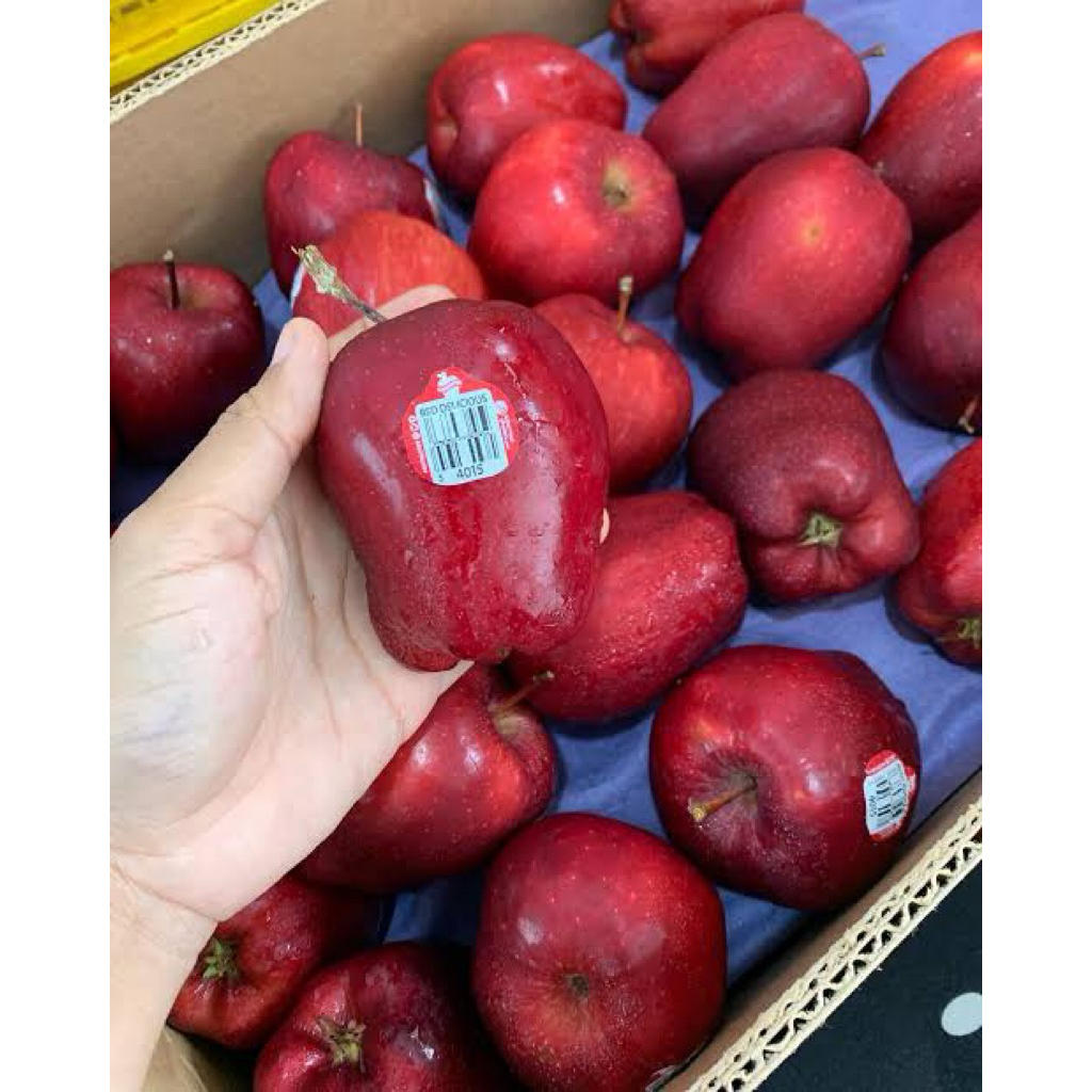 

apel merah washington 1kg