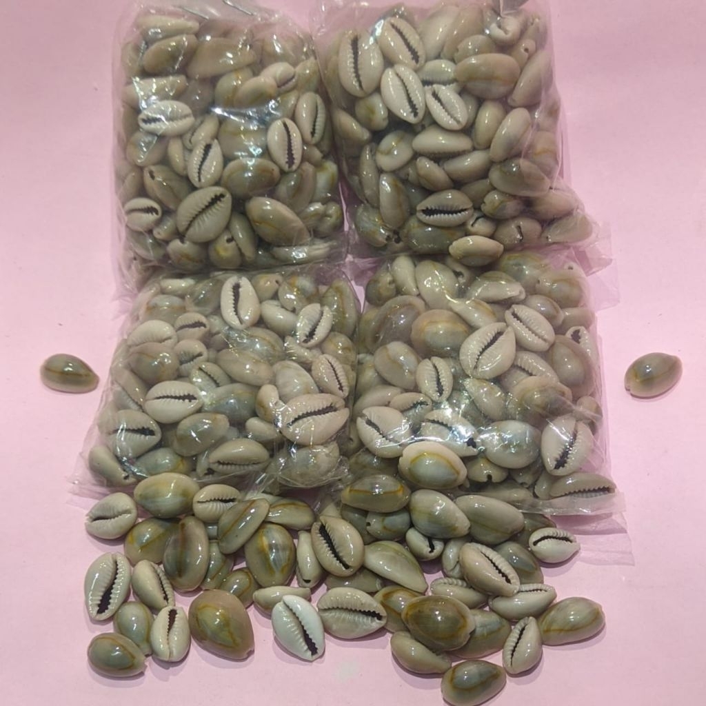 KERANG KUWUK CONGKAK