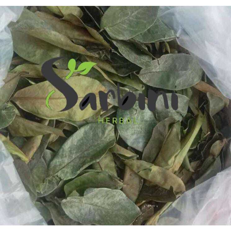 

Daun Sirsak Kering / Kering Daun Sirsak Kering / 500 gram / 1000 gram/ Simplisia Kering Daun Sirsak Kering / Daun Sirsak Kering Garansi Terjamin 100% Asli Murni / Bahan Daun Sirsak Kering / Bahan Daun Sirsak Kering Premium / Bahan Daun Sirsak Kering Murni