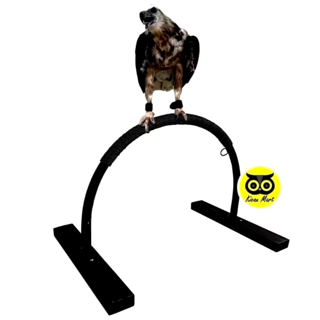 stand tangkringan burung hantu