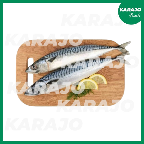 

Ikan Tenggiri Fresh 500g/1000g