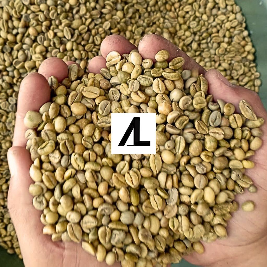 

Green Bean Kopi Nangka - Excelsa 1 Kg / Kopi Liberika / Kopi Nangka / Kopi Wangi 1 Kg