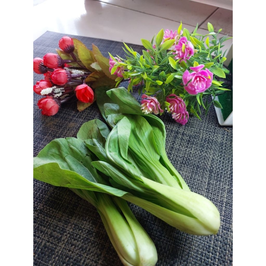 

Pakcoy Segar 500gr Kirim Instan / Sayur Segar Bogor