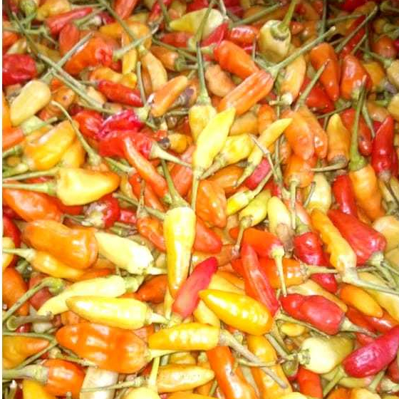 

Cabai Rawit Merah 1kg