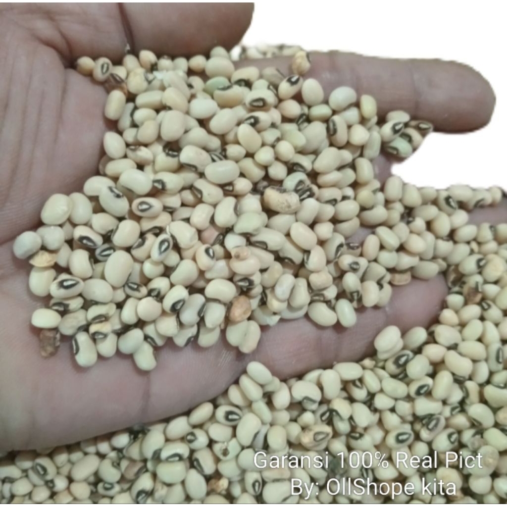 

Kacang Tunggak Organik Kwalitas Super 500gram