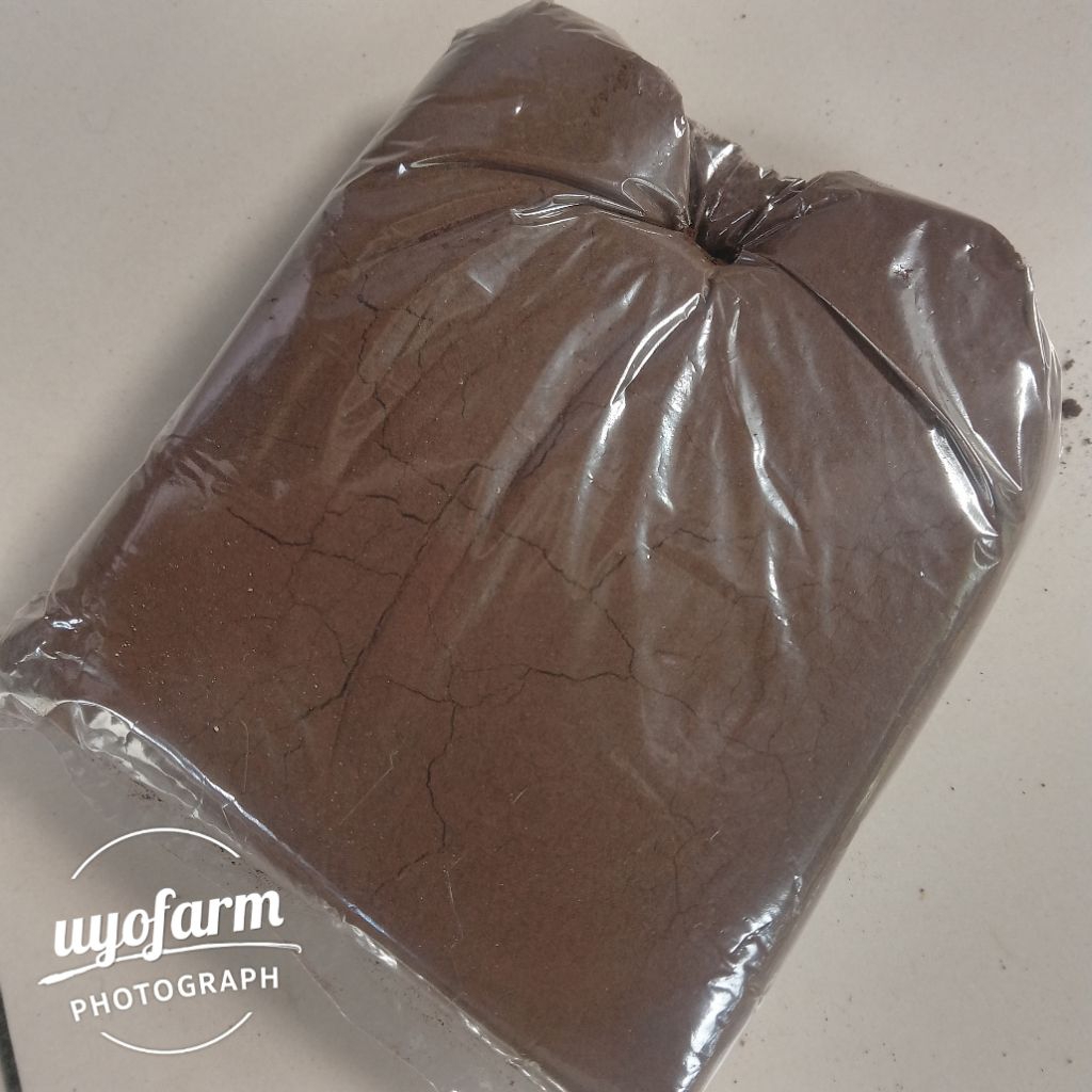 

kopi Lasem 55g (non Lelet) 100% kopi murni sangrai dadakan