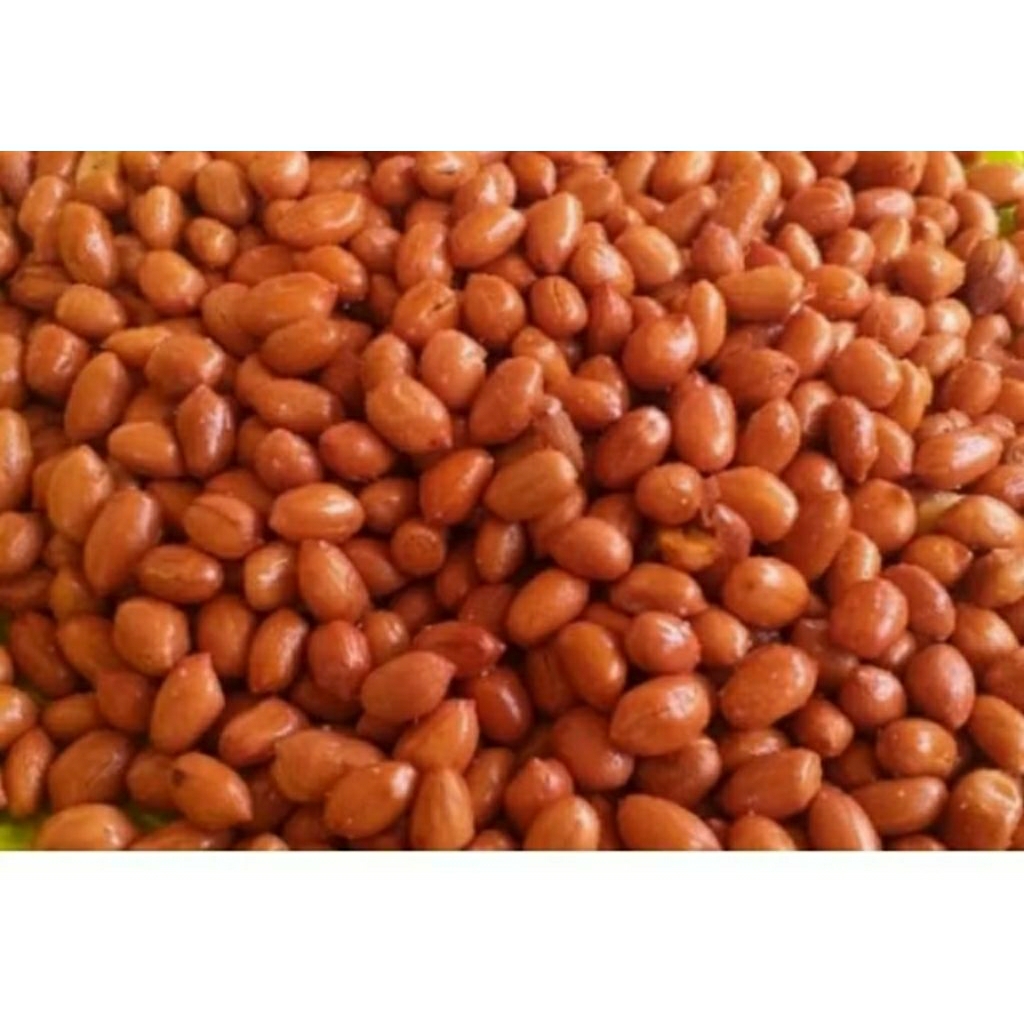 

kacang goreng minyak 500gram