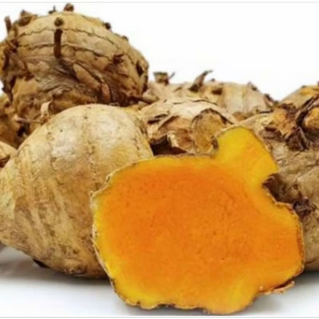 

Temulawak segar 1kg Obat herbal