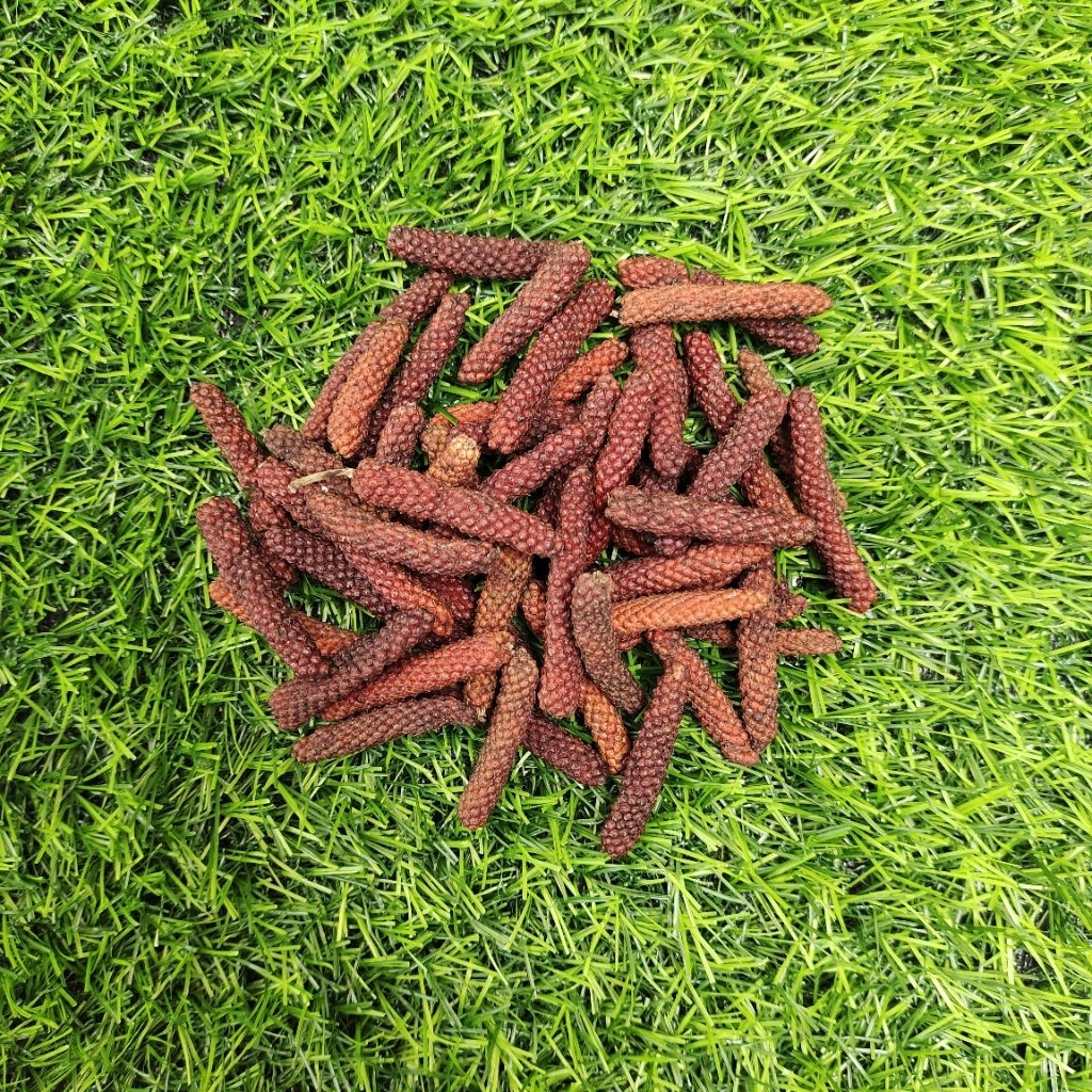 

CABE PUYANG CABE JAWA CABE JAMU 100 GRAM