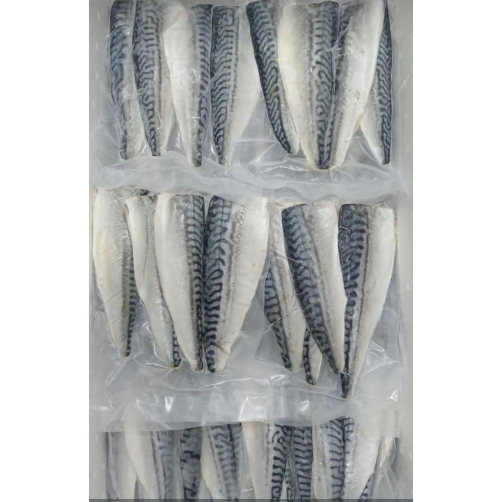 

fillet Saba - mackarel 500 gram