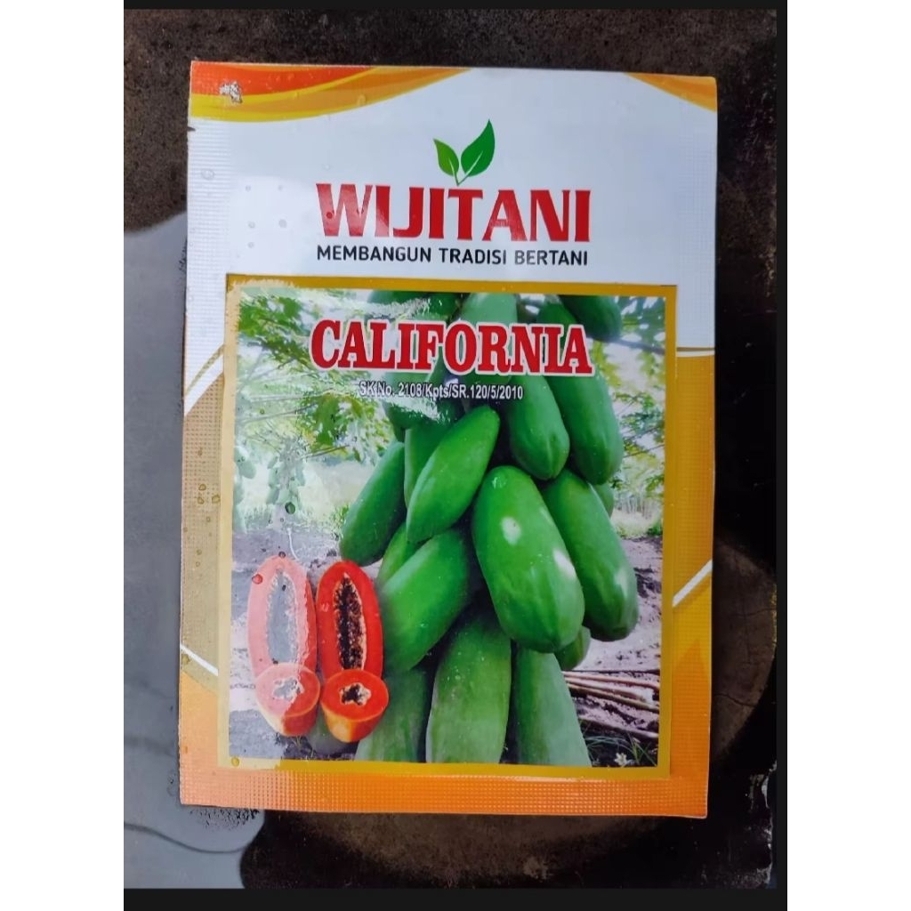 benih Pepaya Unggul CALIFORNIA ByWIJITANI